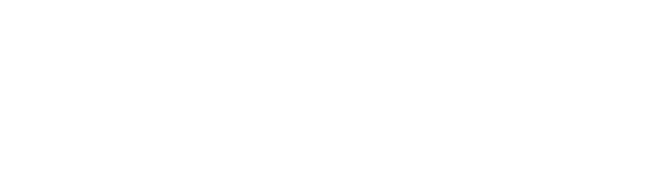 THE TRAVEL INSIDER GROUP logo